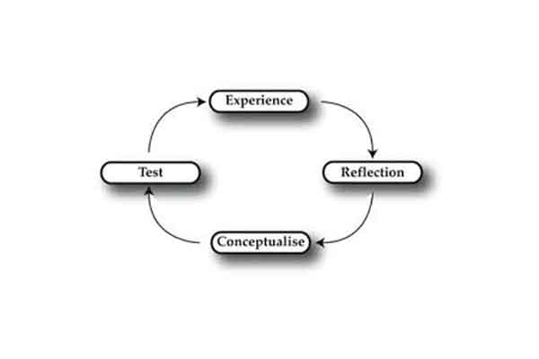  Experiential Learning Cycle
